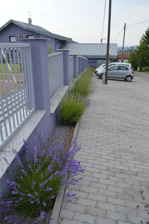 Pansion Antonio Bed and Breakfast Slavonski Brod Exteriör bild