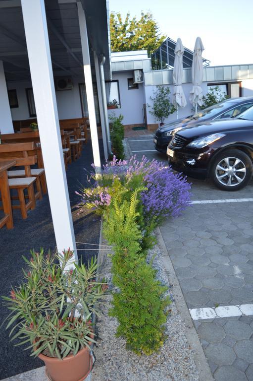 Pansion Antonio Bed and Breakfast Slavonski Brod Exteriör bild